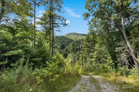 1265 Stackhouse Rd, Marshall, NC 28753 photo 5