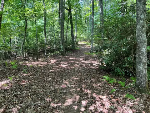 000 Open Ridge 30 Trl #30, Pisgah Forest, NC 28768
