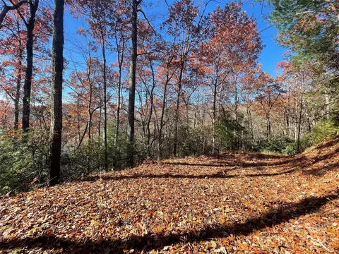134 Green Hollow Lane #134, Brevard, NC 28712