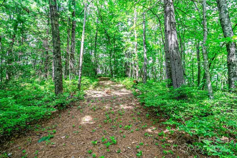Big Branch Road, Brevard, NC 28712