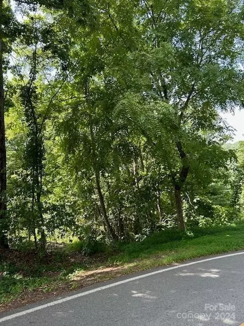 46 Elk Mountain Rdg, Asheville, NC 28804