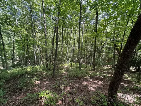 Isuhdavga Court, Brevard, NC 28712
