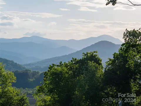 227 Pisgah Ridge Lot Apt 32 Trl Apt Lot #LOT 32, Mills River, NC 28759