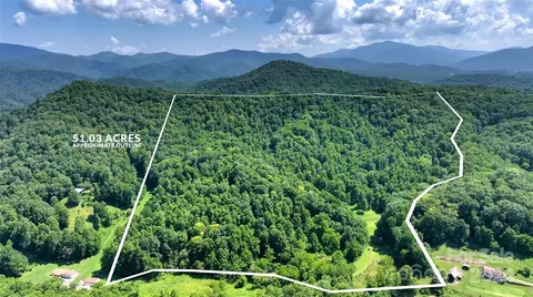1744 Horton Hill Rd, Green Mountain, NC 28740
