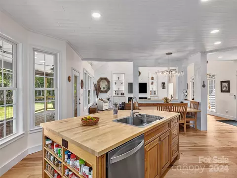 447 River Park Ln, Mill Spring, NC 28756 photo 9