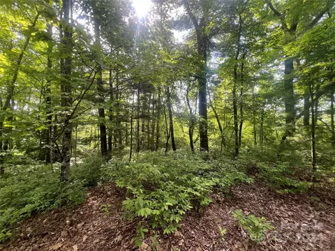 000 Laurel Thicket Ln, Brevard, NC 28712