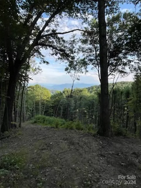 26 Kaleidoscope Cv, Waynesville, NC 28785