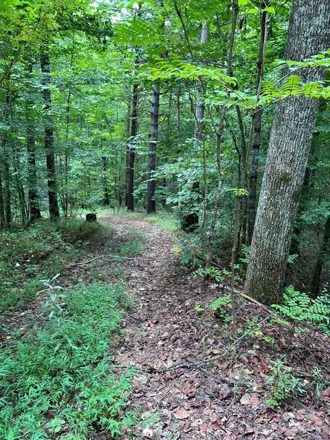 645 Tunnel 157 158 Rd #157 & 158, Marion, NC 28752
