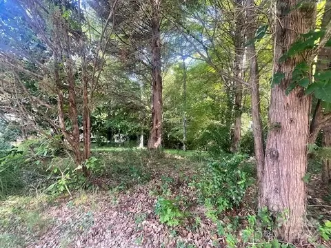 11206 Mallard Crossing Dr, Charlotte, NC 28262