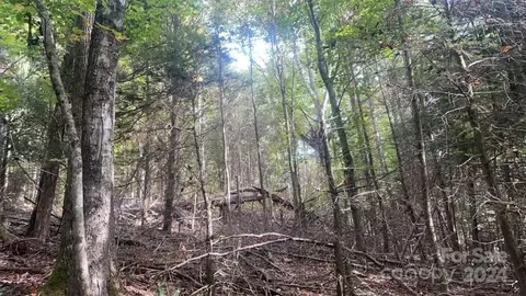 2758 Gouges Creek Rd, Spruce Pine, NC 28777