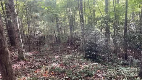 2758 Gouges Creek Rd, Spruce Pine, NC 28777 photo 2