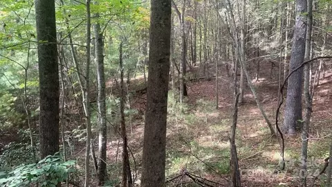 2758 Gouges Creek Rd, Spruce Pine, NC 28777 photo 3