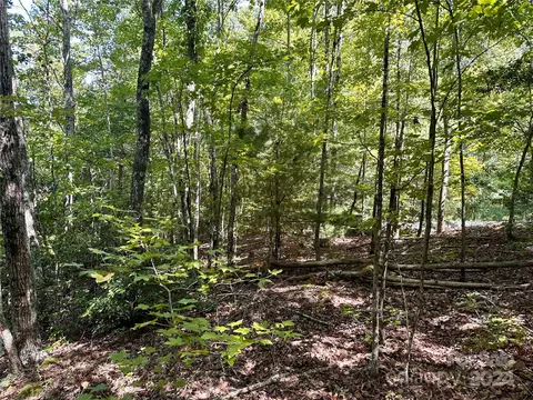 0 Tahawus 58 Dr #58, Bostic, NC 28018 photo 10