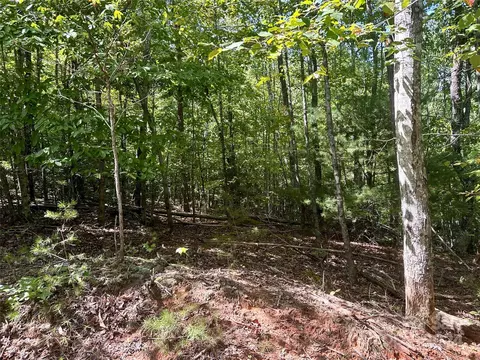 0 Tahawus 58 Dr #58, Bostic, NC 28018 photo 3