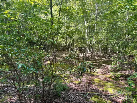 0 Tahawus 58 Dr #58, Bostic, NC 28018 photo 11