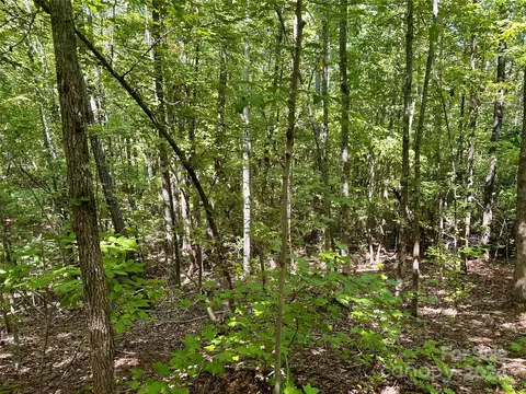 0 Tahawus 58 Dr #58, Bostic, NC 28018 photo 8