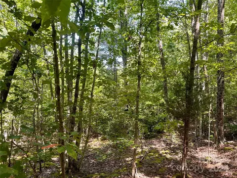 0 Tahawus 58 Dr #58, Bostic, NC 28018 photo 6