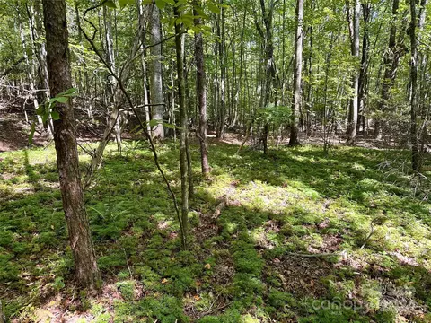 0 Tahawus 58 Dr #58, Bostic, NC 28018 photo 2