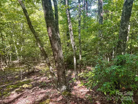 0 Tahawus 58 Dr #58, Bostic, NC 28018 photo 5