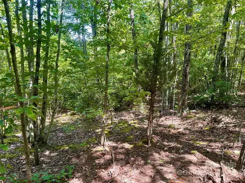 0 Tahawus 58 Dr #58, Bostic, NC 28018 photo 7