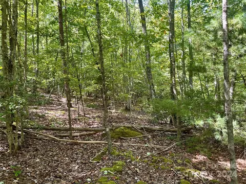 0 Tahawus 58 Dr #58, Bostic, NC 28018 photo 4