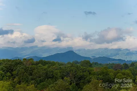 265 Alexander Rd, Alexander, NC 28701 photo 5