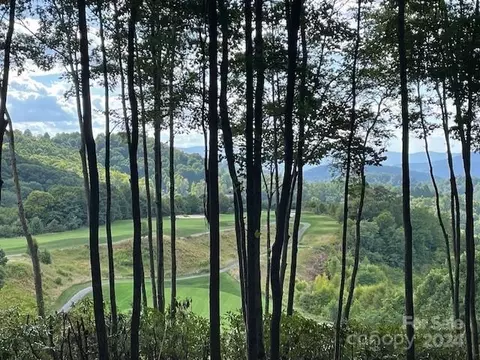 91 Haulback Way #91, Sylva, NC 28779