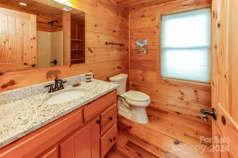 Bath - 198 Palisade Dr, Mill Spring, NC 28756 photo 3 of 4