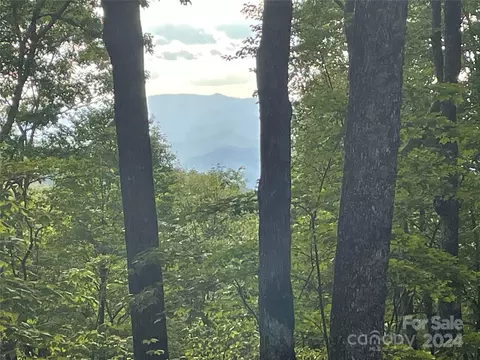 Corkscrew 198 Way #198, Sylva, NC 28779 photo 2