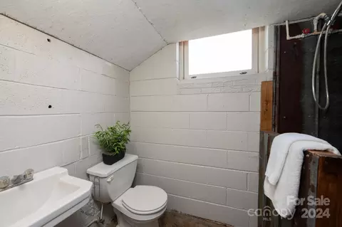 Bath - 1691 Cat Square Rd, Vale, NC 28168 photo 3 of 3