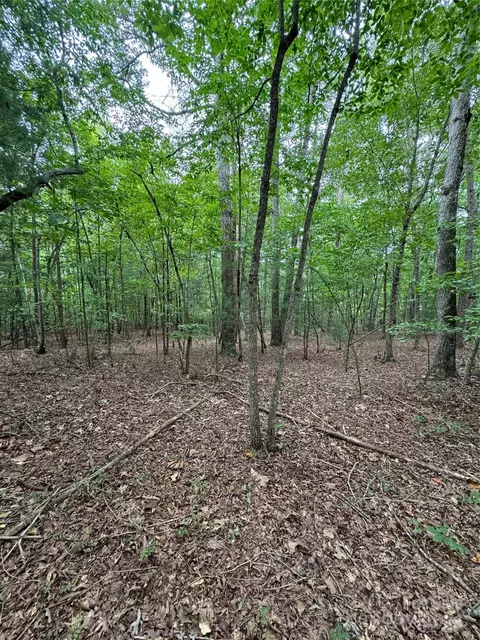 4705 Warlick Chapel Rd, Connelly Springs, NC 28612