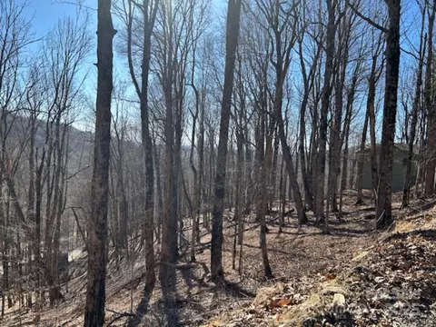 690 Oak Ridge 690 Ln #690, Mars Hill, NC 28754