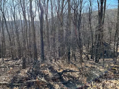 337 Hamlin 96 Ln #96, Mars Hill, NC 28754