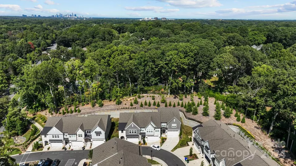 View/Area - 3131 Everly Enclave Way, Charlotte, NC 28210 photo 2 of 7