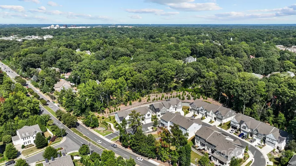 View/Area - 3131 Everly Enclave Way, Charlotte, NC 28210 photo 7 of 7