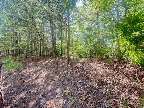 7 Woodward Dr, Mill Spring, NC 28756 photo 2