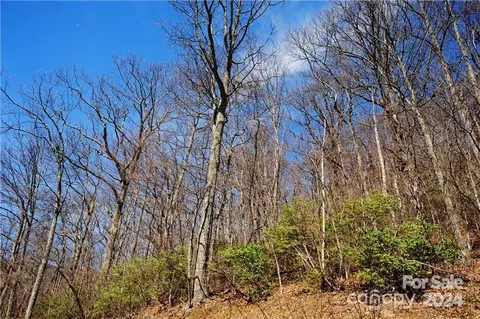 35 Wedgewood 1104 Ter #1104, Black Mountain, NC 28711