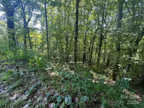 229 Hanging Rock Rd, Mars Hill, NC 28754