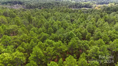 00 Raintree Rd, Hamlet, NC 28345 photo 13