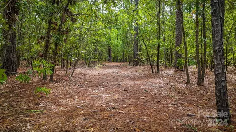 00 Raintree Rd, Hamlet, NC 28345 photo 21
