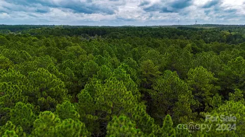 00 Raintree Rd, Hamlet, NC 28345 photo 14