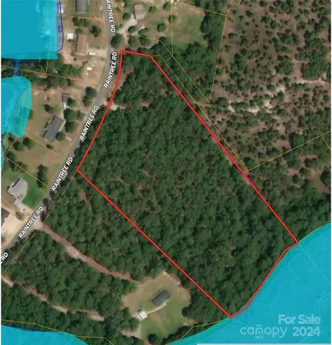 00 Raintree Rd, Hamlet, NC 28345
