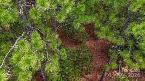 00 Raintree Rd, Hamlet, NC 28345 photo 16