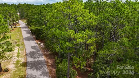 00 Raintree Rd, Hamlet, NC 28345 photo 17