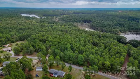 00 Raintree Rd, Hamlet, NC 28345 photo 3