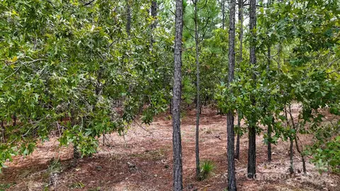 00 Raintree Rd, Hamlet, NC 28345 photo 19