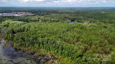 00 Raintree Rd, Hamlet, NC 28345 photo 7