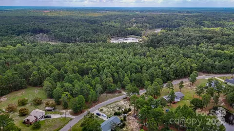 00 Raintree Rd, Hamlet, NC 28345 photo 2