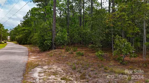 00 Raintree Rd, Hamlet, NC 28345 photo 18