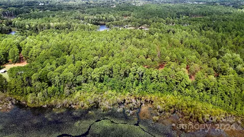 00 Raintree Rd, Hamlet, NC 28345 photo 6